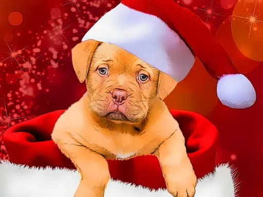 Noel Köpekleri Tarzları
