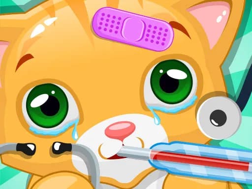 Küçük Kedi Doktoru Evcil Hayvan Veterineri Oyunu