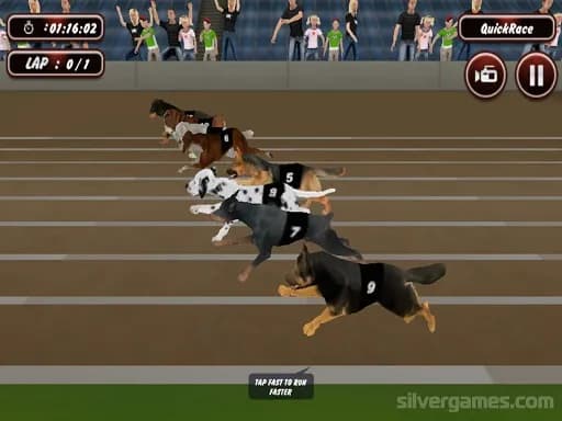 Çılgın Köpek Yarışı Simülatörü Oyunları 3D