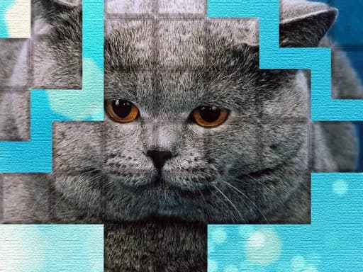 PicPu - Kedi Bulmacası
